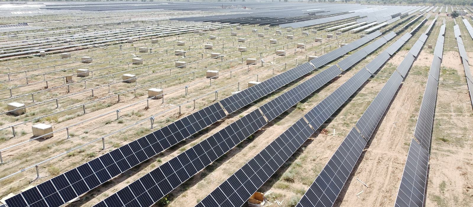 Rows of solar panels on trackers at a large plant